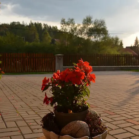 Apartamento Apartments Huty *